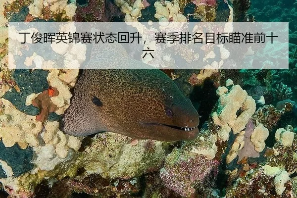 丁俊晖英锦赛状态回升，赛季排名目标瞄准前十六