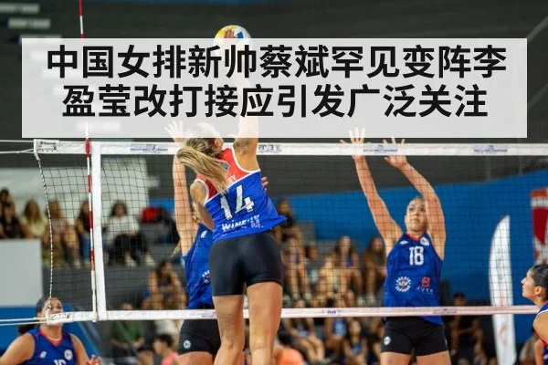 volleyball match action