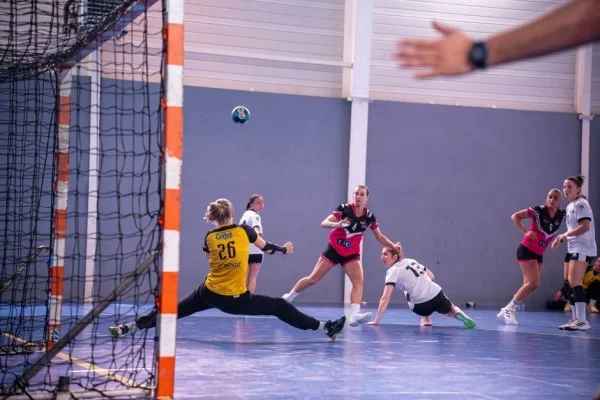 handball goalkeeper save